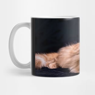 Big yellow cat Mug